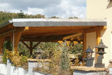 Sedumsprossen zur Dachbegrünung - Bepflanzen mit Sedum Pflanzen zum Aufbau extensive, intensive Dachbegruenung.