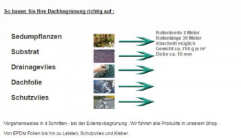 Aufbau der Dachbegrünung