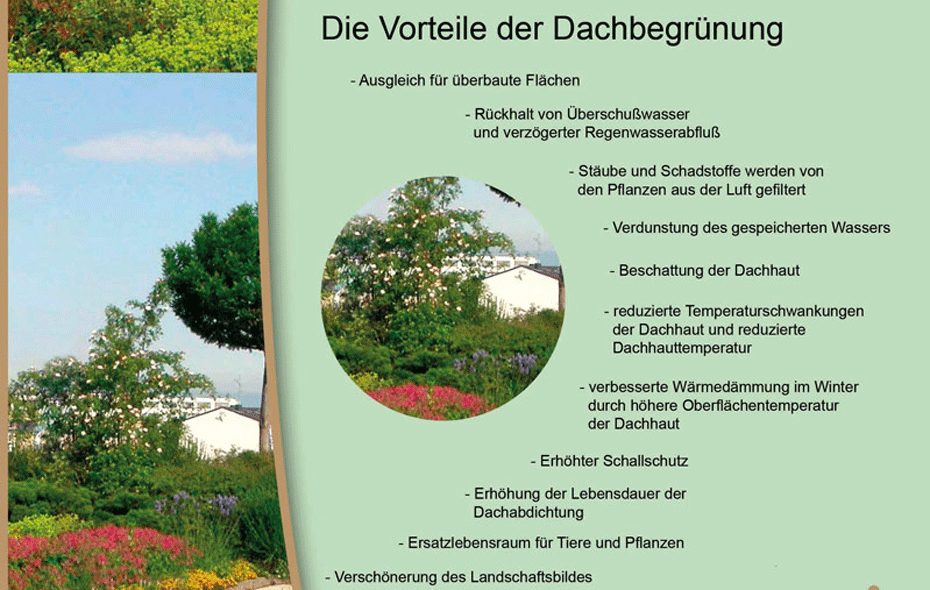 Dachbegruenung-Vorteile