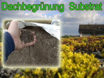 Mageres Substrat für Sedumpflanzen