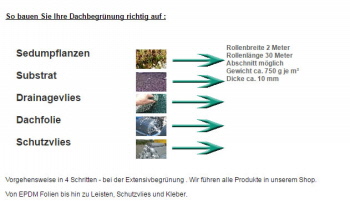 Aufbau mit Dachpflanzen