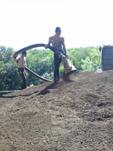 Steildach - Planung zum Begrünen eines extensiv Gründach - kleiner Ratgeber